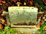 image of grave number 105706